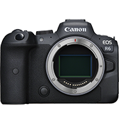 canon r6 body