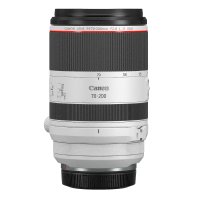 RF 70-200mm F2.8 L IS USM